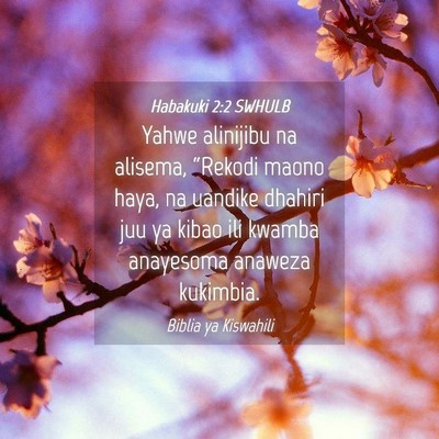 Picture 04 - Habakuki 2:2 SWHULB - Yahwe alinijibu na alisema, “Rekodi maono haya, - Bible Verse Picture