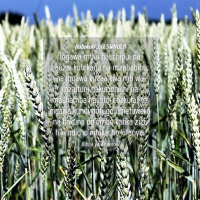 Picture 04 - Habakuki 3:17 SWHULB - Ingawa mtini hauchipui na hauzai kutokana na - Bible Verse Picture
