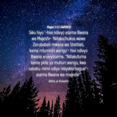 Picture 04 - Hagai 2:23 SWHULB - Siku hiyo '-hivi ndivyo asema Bwana wa Majeshi- - Bible Verse Picture