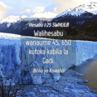 Picture 04 - Hesabu 1:25 SWHULB - Walihesabu wanaume 45, 650 kutoka kabila la - Bible Verse Picture