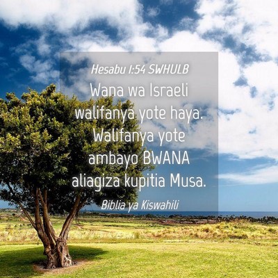 Picture 04 - Hesabu 1:54 SWHULB - Wana wa Israeli walifanya yote haya. Walifanya - Bible Verse Picture