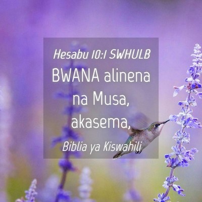 Picture 04 - Hesabu 10:1 SWHULB - BWANA alinena na Musa, - Bible Verse Picture