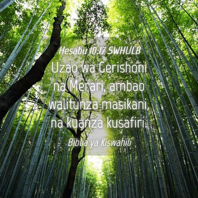 Picture 04 - Hesabu 10:17 SWHULB - Uzao wa Gerishoni na Merari, ambao walitunza - Bible Verse Picture