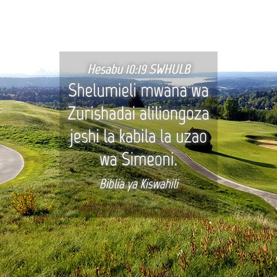 Picture 04 - Hesabu 10:19 SWHULB - Shelumieli mwana wa Zurishadai aliliongoza jeshi - Bible Verse Picture