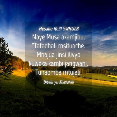 Picture 04 - Hesabu 10:31 SWHULB - Naye Musa akamjibu, “Tafadhali msituache. - Bible Verse Picture