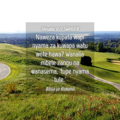 Picture 04 - Hesabu 11:13 SWHULB - Naweza kupata wapi nyama za kuwapa watu wote - Bible Verse Picture