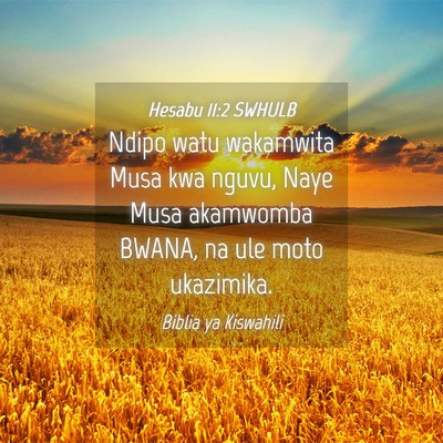 Picture 04 - Hesabu 11:2 SWHULB - Ndipo watu wakamwita Musa kwa nguvu, Naye Musa - Bible Verse Picture