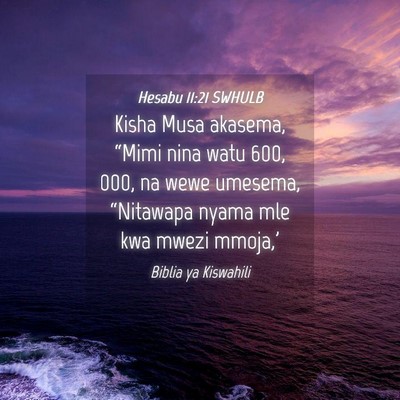 Picture 04 - Hesabu 11:21 SWHULB - Kisha Musa akasema, “Mimi nina watu 600, 000, - Bible Verse Picture