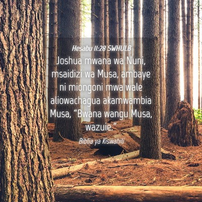 Picture 04 - Hesabu 11:28 SWHULB - Joshua mwana wa Nuni, msaidizi wa Musa, ambaye ni - Bible Verse Picture