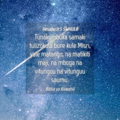 Picture 04 - Hesabu 11:5 SWHULB - Tunakumbuka samaki tulizokula bure kule Misri, - Bible Verse Picture
