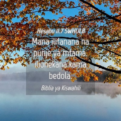 Picture 04 - Hesabu 11:7 SWHULB - Mana ilifanana na punje ya mtama. ilionekana kama - Bible Verse Picture
