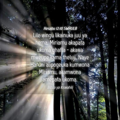 Picture 04 - Hesabu 12:10 SWHULB - Lile wingu likainuka juu ya hema, Miriamu akapata - Bible Verse Picture