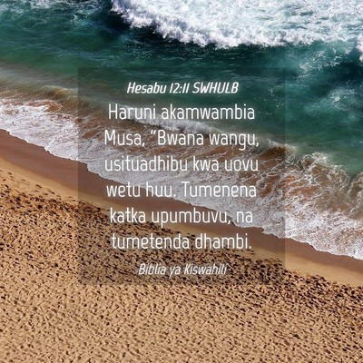 Picture 04 - Hesabu 12:11 SWHULB - Haruni akamwambia Musa, “Bwana wangu, - Bible Verse Picture