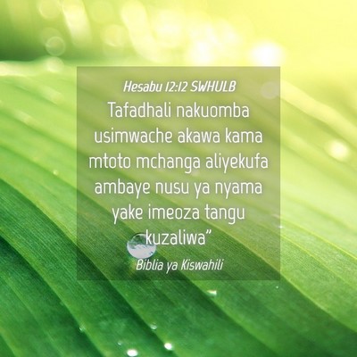 Picture 04 - Hesabu 12:12 SWHULB - Tafadhali nakuomba usimwache akawa kama mtoto - Bible Verse Picture