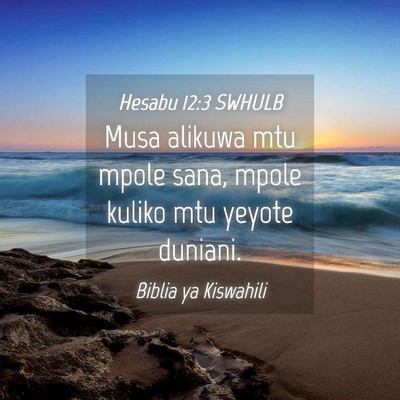 Picture 04 - Hesabu 12:3 SWHULB - Musa alikuwa mtu mpole sana, mpole kuliko mtu - Bible Verse Picture