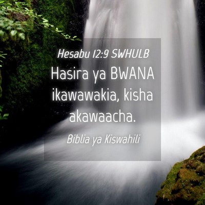 Picture 04 - Hesabu 12:9 SWHULB - Hasira ya BWANA ikawawakia, kisha - Bible Verse Picture