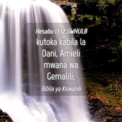 Picture 04 - Hesabu 13:12 SWHULB - kutoka kabila la Dani, Amieli mwana wa - Bible Verse Picture