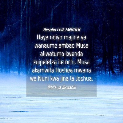 Picture 04 - Hesabu 13:16 SWHULB - Haya ndiyo majina ya wanaume ambao Musa aliwatuma - Bible Verse Picture
