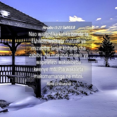 Picture 04 - Hesabu 13:23 SWHULB - Nao walipofika katika bonde la Eshikoli, walikata - Bible Verse Picture