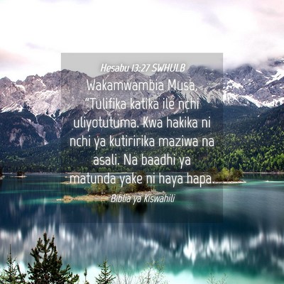 Picture 04 - Hesabu 13:27 SWHULB - Wakamwambia Musa, “Tulifika katika ile nchi - Bible Verse Picture