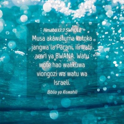 Picture 04 - Hesabu 13:3 SWHULB - Musa akawatuma kutoka jangwa la Parani, ili watii - Bible Verse Picture