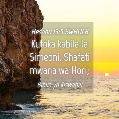 Picture 04 - Hesabu 13:5 SWHULB - Kutoka kabila la Simeoni, Shafati mwana wa - Bible Verse Picture