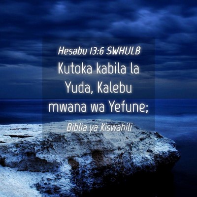 Picture 04 - Hesabu 13:6 SWHULB - Kutoka kabila la Yuda, Kalebu mwana wa - Bible Verse Picture