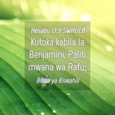 Picture 04 - Hesabu 13:9 SWHULB - Kutoka kabila la Benjamini, Paliti mwana wa - Bible Verse Picture