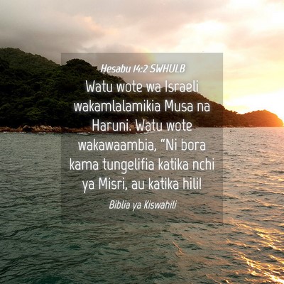 Picture 04 - Hesabu 14:2 SWHULB - Watu wote wa Israeli wakamlalamikia Musa na - Bible Verse Picture