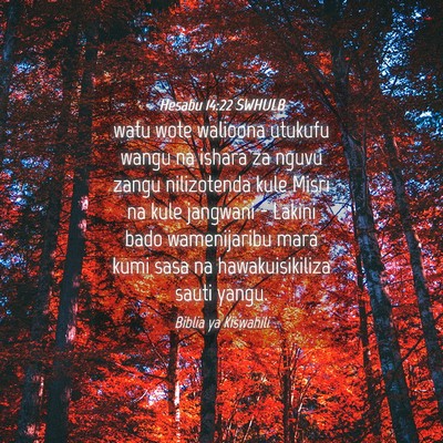 Picture 04 - Hesabu 14:22 SWHULB - watu wote walioona utukufu wangu na ishara za - Bible Verse Picture