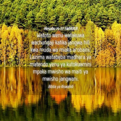 Picture 04 - Hesabu 14:33 SWHULB - Watoto wenu watakuwa wachungaji katika jangwa - Bible Verse Picture