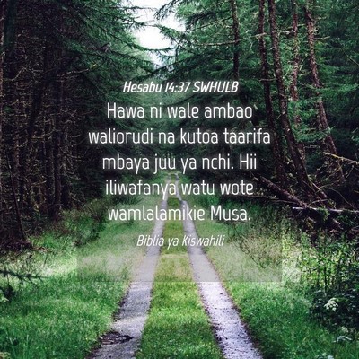 Picture 04 - Hesabu 14:37 SWHULB - Hawa ni wale ambao waliorudi na kutoa taarifa - Bible Verse Picture