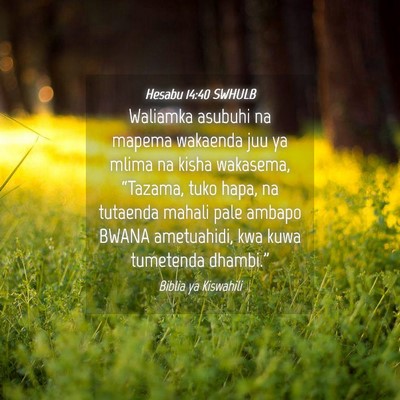 Picture 04 - Hesabu 14:40 SWHULB - Waliamka asubuhi na mapema wakaenda juu ya mlima - Bible Verse Picture