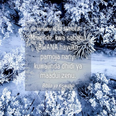 Picture 04 - Hesabu 14:42 SWHULB - Msiende, kwa sababu BWANA hayuko pamoja nanyi - Bible Verse Picture