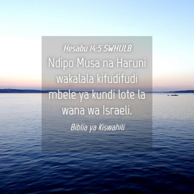 Picture 04 - Hesabu 14:5 SWHULB - Ndipo Musa na Haruni wakalala kifudifudi mbele ya - Bible Verse Picture