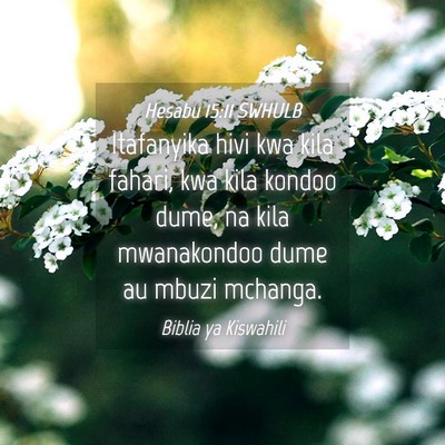 Picture 04 - Hesabu 15:11 SWHULB - Itafanyika hivi kwa kila fahari, kwa kila kondoo - Bible Verse Picture