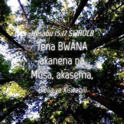 Picture 04 - Hesabu 15:17 SWHULB - Tena BWANA akanena na Musa, - Bible Verse Picture