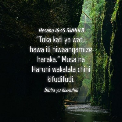 Picture 04 - Hesabu 16:45 SWHULB - “Toka kati ya watu hawa ili niwaangamize - Bible Verse Picture