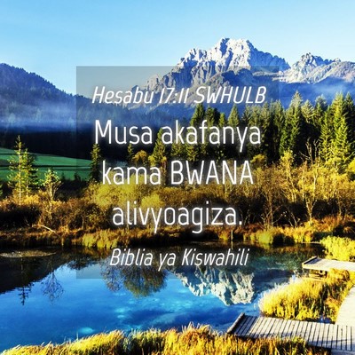 Picture 04 - Hesabu 17:11 SWHULB - Musa akafanya kama BWANA - Bible Verse Picture