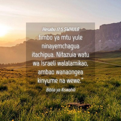 Picture 04 - Hesabu 17:5 SWHULB - fimbo ya mtu yule ninayemchagua itachipua. - Bible Verse Picture