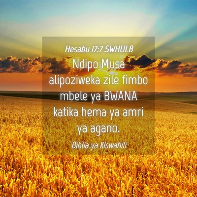 Picture 04 - Hesabu 17:7 SWHULB - Ndipo Musa alipoziweka zile fimbo mbele ya BWANA - Bible Verse Picture