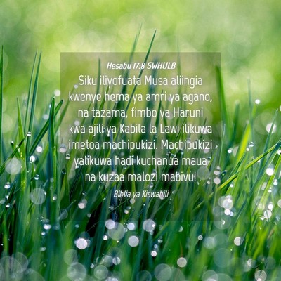 Picture 04 - Hesabu 17:8 SWHULB - Siku iliyofuata Musa aliingia kwenye hema ya amri - Bible Verse Picture