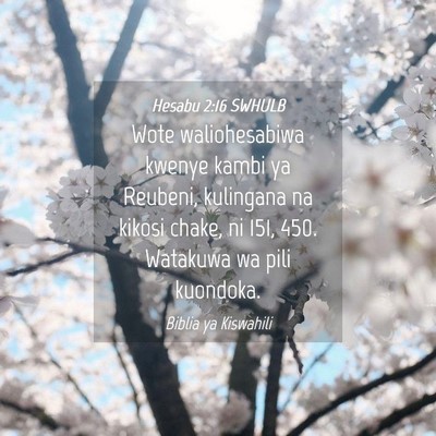 Picture 04 - Hesabu 2:16 SWHULB - Wote waliohesabiwa kwenye kambi ya Reubeni, - Bible Verse Picture