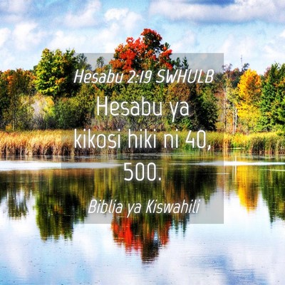 Picture 04 - Hesabu 2:19 SWHULB - Hesabu ya kikosi hiki ni 40, - Bible Verse Picture