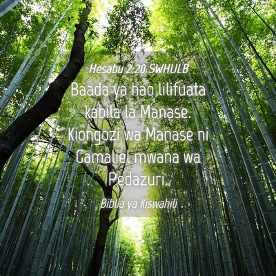 Picture 04 - Hesabu 2:20 SWHULB - Baada ya hao lilifuata kabila la Manase. Kiongozi - Bible Verse Picture
