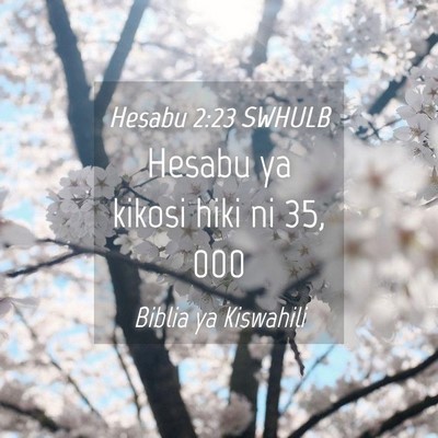 Picture 04 - Hesabu 2:23 SWHULB - Hesabu ya kikosi hiki ni 35, - Bible Verse Picture