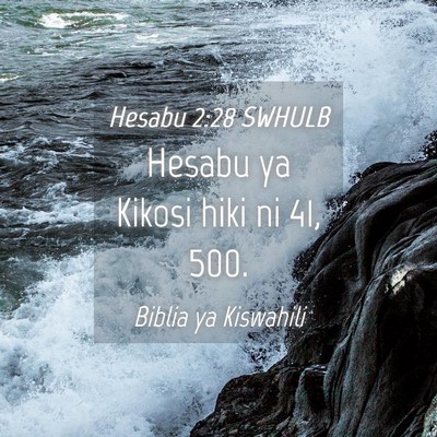Picture 04 - Hesabu 2:28 SWHULB - Hesabu ya Kikosi hiki ni 41, - Bible Verse Picture