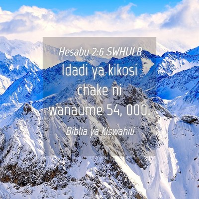 Picture 04 - Hesabu 2:6 SWHULB - Idadi ya kikosi chake ni wanaume 54, - Bible Verse Picture