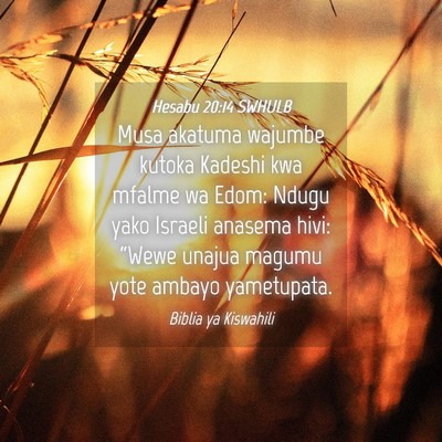Picture 04 - Hesabu 20:14 SWHULB - Musa akatuma wajumbe kutoka Kadeshi kwa mfalme wa - Bible Verse Picture
