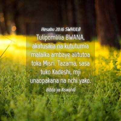 Picture 04 - Hesabu 20:16 SWHULB - Tulipomlilia BWANA, akatusikia na kututumia - Bible Verse Picture